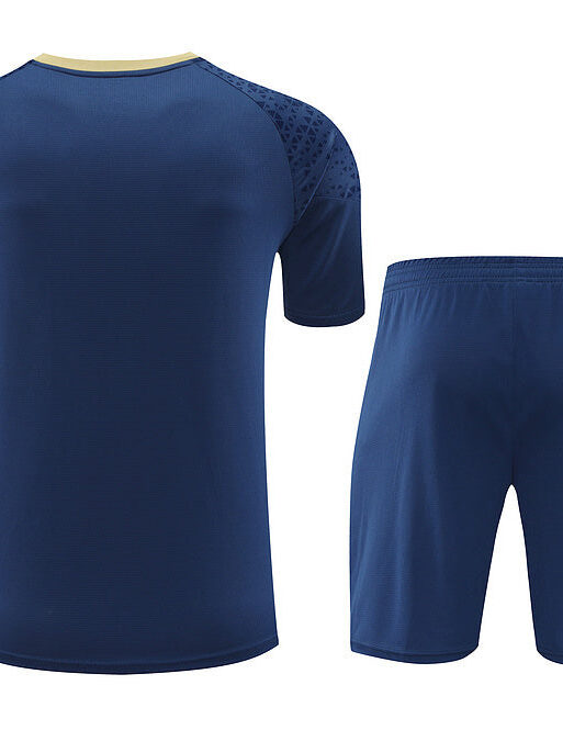 Palmeiras Training Set