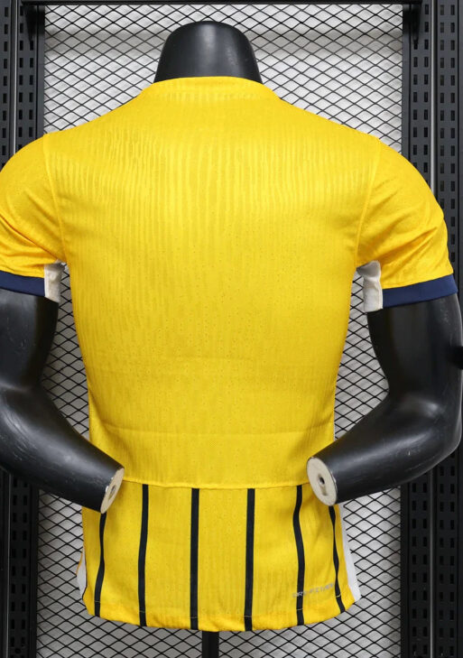 2024/2025 Brighton Away Kit