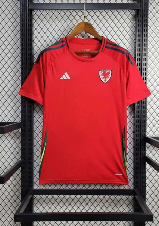 2024 Wales Home Kit