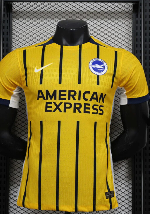 2024/2025 Brighton Away Kit