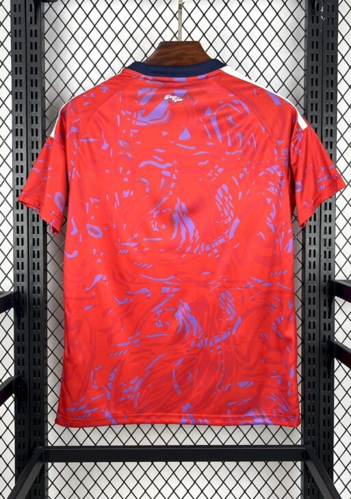2026 Costa Rica Home Kit